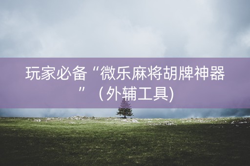 玩家必备“微乐麻将胡牌神器”（外辅工具)