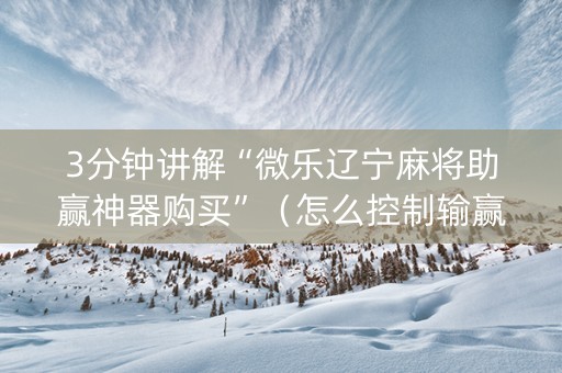 3分钟讲解“微乐辽宁麻将助赢神器购买”（怎么控制输赢)