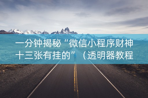 一分钟揭秘“微信小程序财神十三张有挂的”（透明器教程)