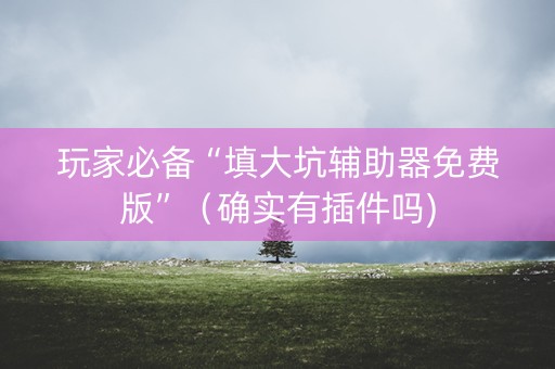 玩家必备“填大坑辅助器免费版”（确实有插件吗)