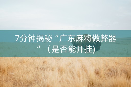 7分钟揭秘“广东麻将做弊器”（是否能开挂)