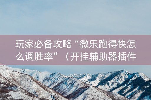 玩家必备攻略“微乐跑得快怎么调胜率”（开挂辅助器插件)