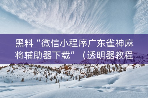 黑料“微信小程序广东雀神麻将辅助器下载”（透明器教程)
