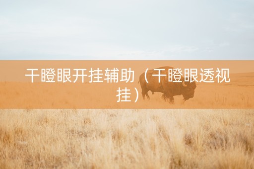 干瞪眼开挂辅助（干瞪眼透视挂）
