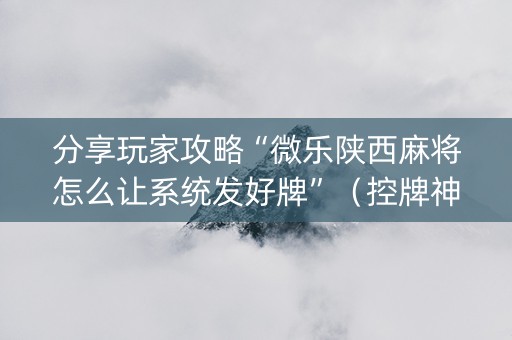 分享玩家攻略“微乐陕西麻将怎么让系统发好牌”（控牌神器)
