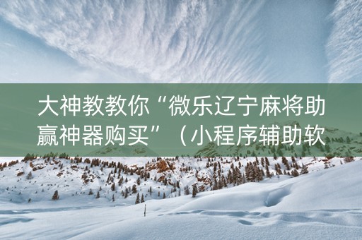 大神教教你“微乐辽宁麻将助赢神器购买”（小程序辅助软件)