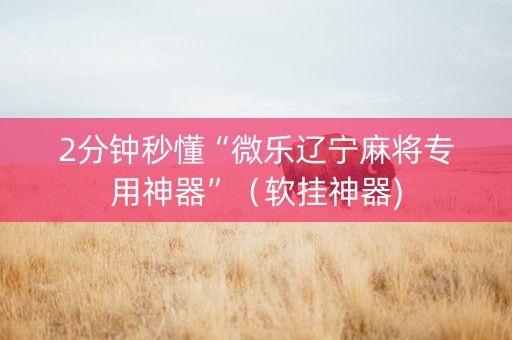 2分钟秒懂“微乐辽宁麻将专用神器”（软挂神器)