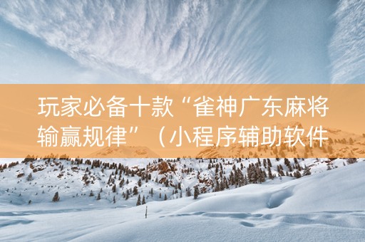 玩家必备十款“雀神广东麻将输赢规律”（小程序辅助软件)
