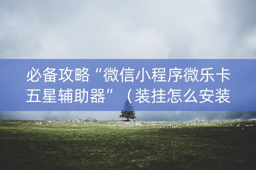 必备攻略“微信小程序微乐卡五星辅助器”（装挂怎么安装)