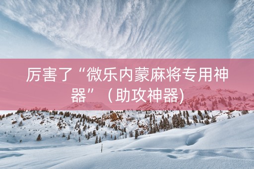 厉害了“微乐内蒙麻将专用神器”（助攻神器)