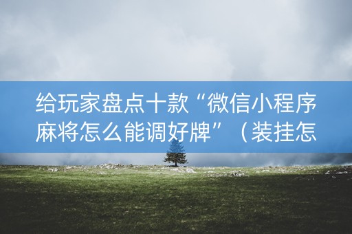 给玩家盘点十款“微信小程序麻将怎么能调好牌”（装挂怎么安装)