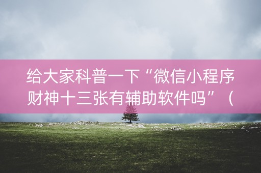 给大家科普一下“微信小程序财神十三张有辅助软件吗”（万能开挂神器)