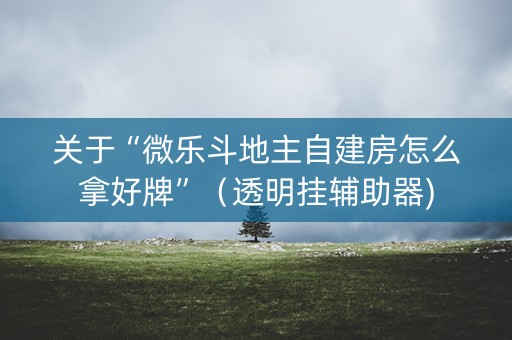 关于“微乐斗地主自建房怎么拿好牌”（透明挂辅助器)