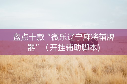 盘点十款“微乐辽宁麻将辅牌器”（开挂辅助脚本)