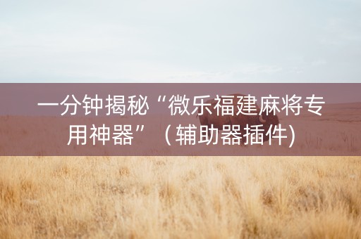 一分钟揭秘“微乐福建麻将专用神器”（辅助器插件)