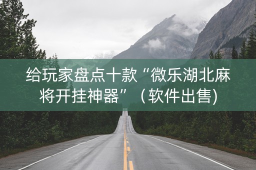 给玩家盘点十款“微乐湖北麻将开挂神器”（软件出售)