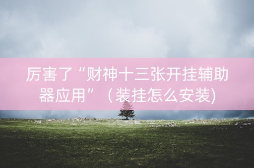 厉害了“财神十三张开挂辅助器应用”（装挂怎么安装)