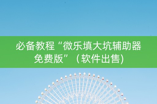 必备教程“微乐填大坑辅助器免费版”（软件出售)
