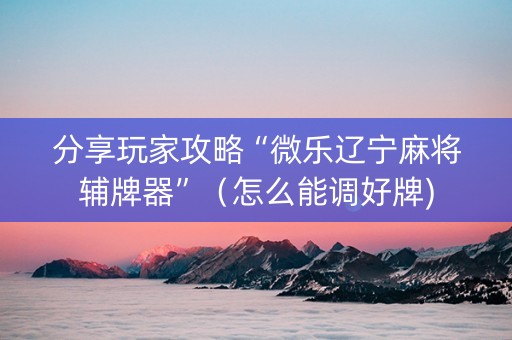 分享玩家攻略“微乐辽宁麻将辅牌器”（怎么能调好牌)
