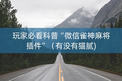 玩家必看科普“微信雀神麻将插件”（有没有猫腻)