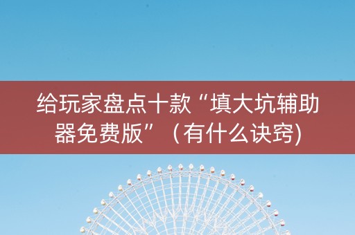 给玩家盘点十款“填大坑辅助器免费版”（有什么诀窍)