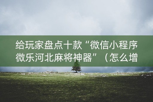 给玩家盘点十款“微信小程序微乐河北麻将神器”（怎么增加胜率)