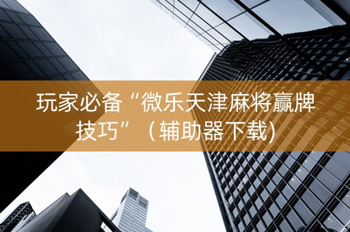 玩家必备“微乐天津麻将赢牌技巧”（辅助器下载)
