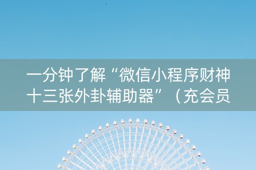 一分钟了解“微信小程序财神十三张外卦辅助器”（充会员胜率高)