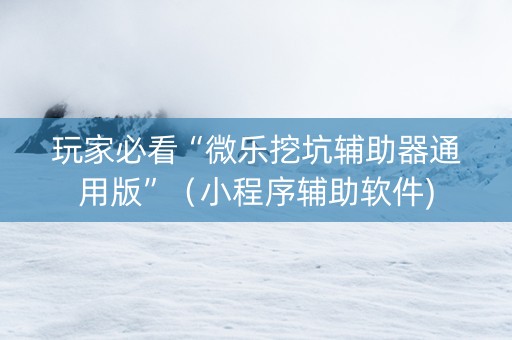 玩家必看“微乐挖坑辅助器通用版”（小程序辅助软件)