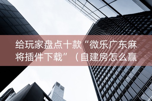 给玩家盘点十款“微乐广东麻将插件下载”（自建房怎么赢)