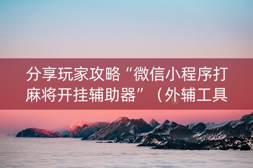 分享玩家攻略“微信小程序打麻将开挂辅助器”（外辅工具)