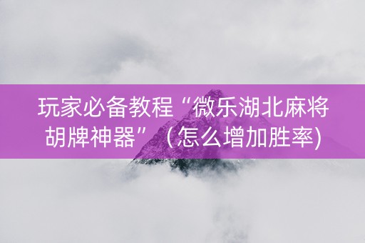 玩家必备教程“微乐湖北麻将胡牌神器”（怎么增加胜率)