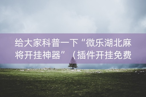 给大家科普一下“微乐湖北麻将开挂神器”（插件开挂免费AI)