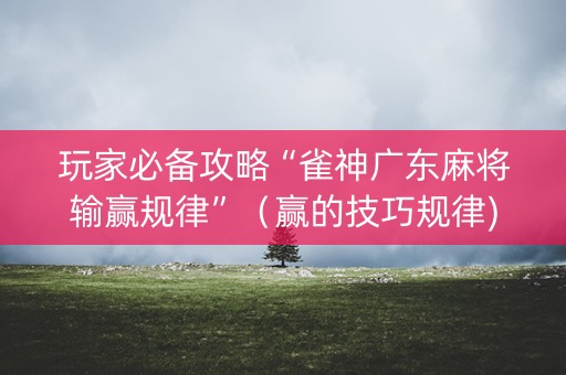 玩家必备攻略“雀神广东麻将输赢规律”（赢的技巧规律)