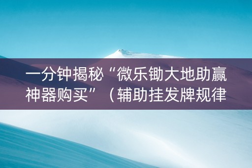 一分钟揭秘“微乐锄大地助赢神器购买”（辅助挂发牌规律)