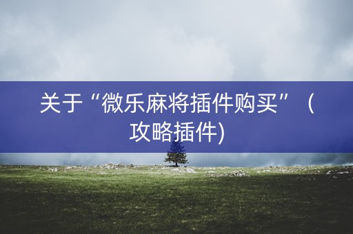 关于“微乐麻将插件购买”（攻略插件)