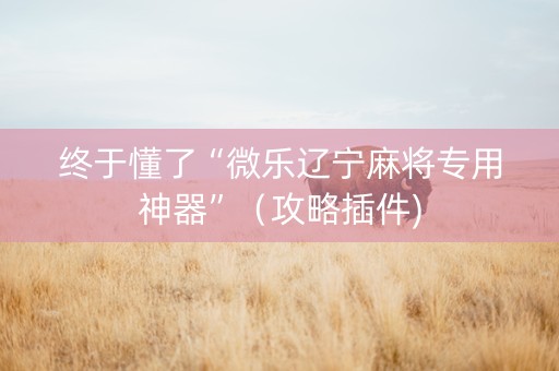 终于懂了“微乐辽宁麻将专用神器”（攻略插件)
