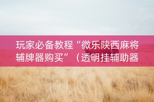玩家必备教程“微乐陕西麻将辅牌器购买”（透明挂辅助器)