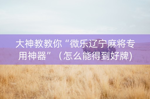 大神教教你“微乐辽宁麻将专用神器”（怎么能得到好牌)