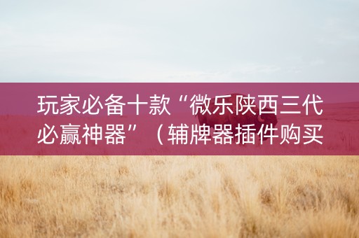 玩家必备十款“微乐陕西三代必赢神器”（辅牌器插件购买)