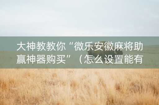 大神教教你“微乐安徽麻将助赢神器购买”（怎么设置能有好牌)