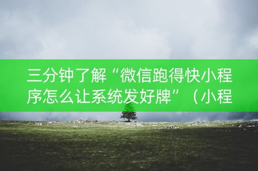 三分钟了解“微信跑得快小程序怎么让系统发好牌”（小程序辅助软件)