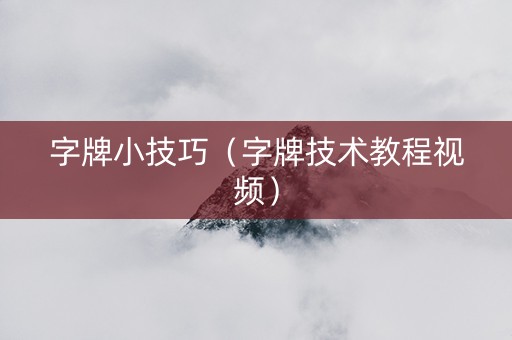 字牌小技巧（字牌技术教程视频）