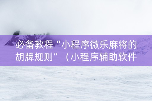 必备教程“小程序微乐麻将的胡牌规则”（小程序辅助软件)