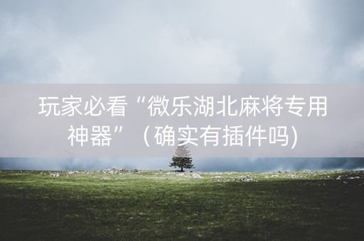 玩家必看“微乐湖北麻将专用神器”（确实有插件吗)