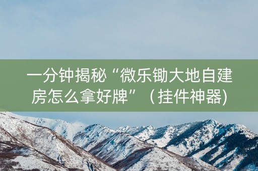 一分钟揭秘“微乐锄大地自建房怎么拿好牌”（挂件神器)