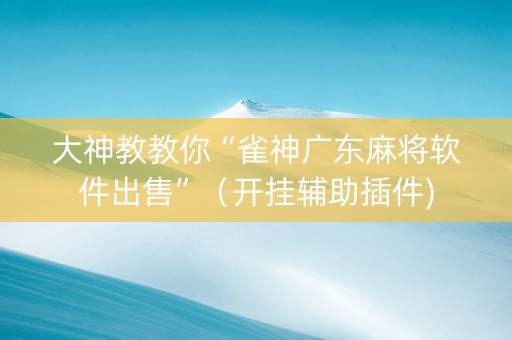 大神教教你“雀神广东麻将软件出售”（开挂辅助插件)