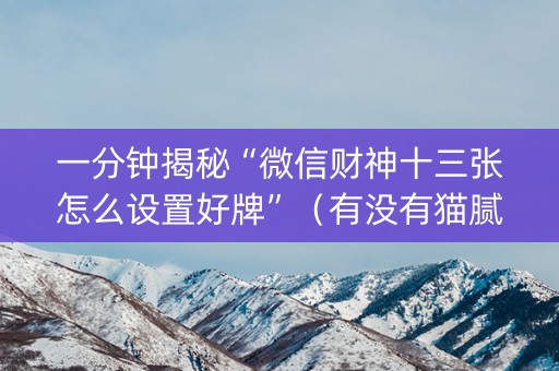 一分钟揭秘“微信财神十三张怎么设置好牌”（有没有猫腻)
