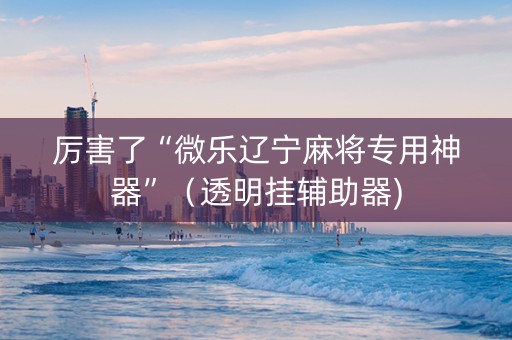 厉害了“微乐辽宁麻将专用神器”（透明挂辅助器)