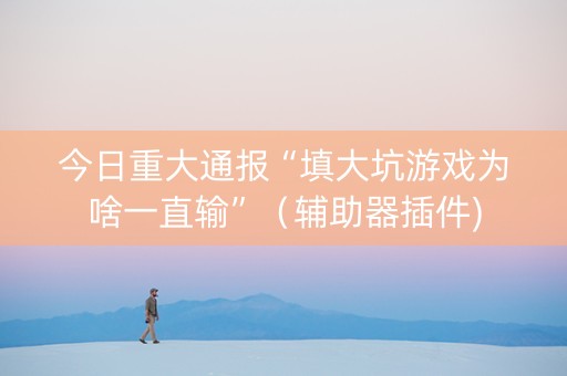 今日重大通报“填大坑游戏为啥一直输”（辅助器插件)